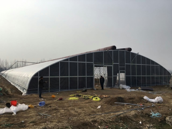 平舆24米大拱棚