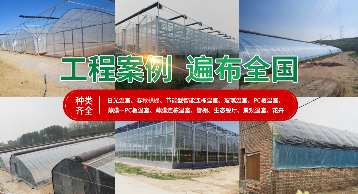 安阳市银丰农业科技有限公司_M
